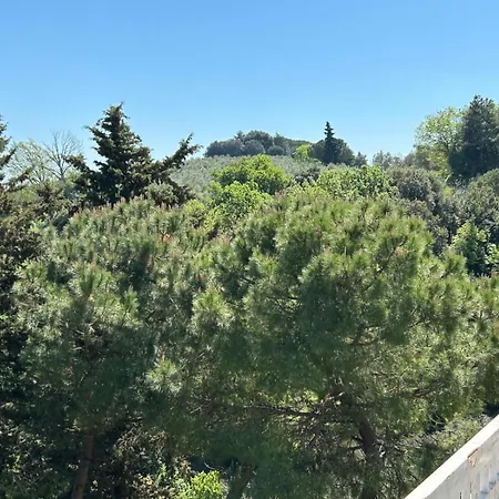 Bed & Breakfast Residenza Sandrini *